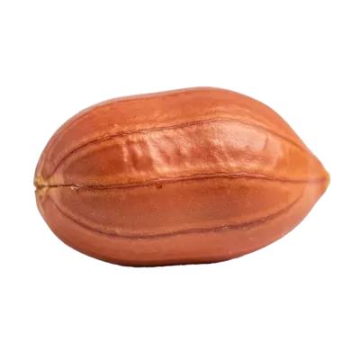 Imagen PNG para descargar